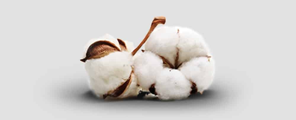 cotton